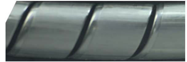SPIRAL GUARDS