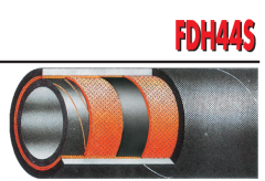 FOSILL D/ 16